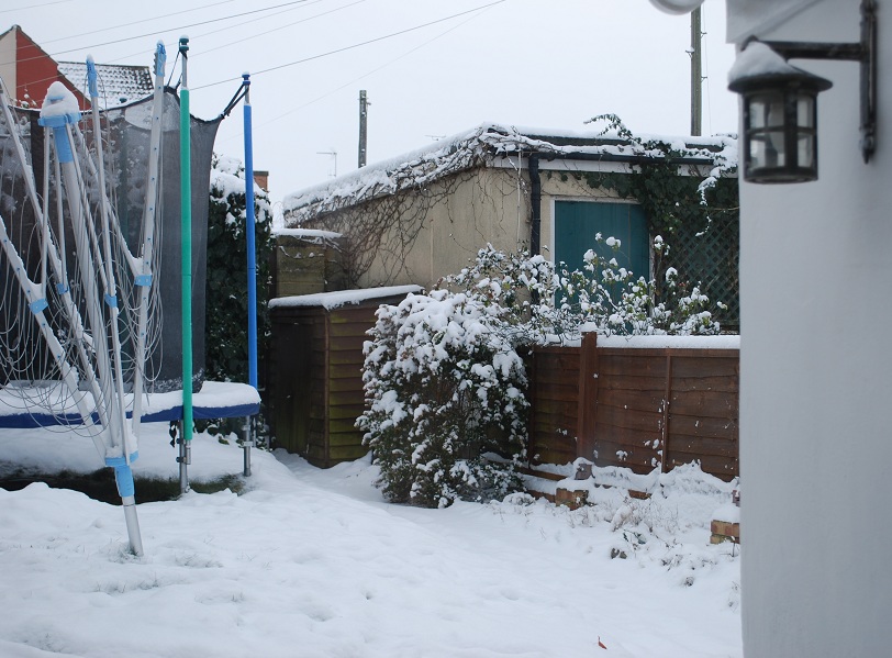 Snow in garden, December 2010